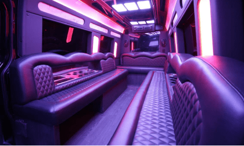 14 Passenger Party Bus interior